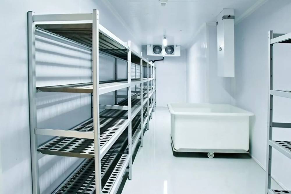D3M Services